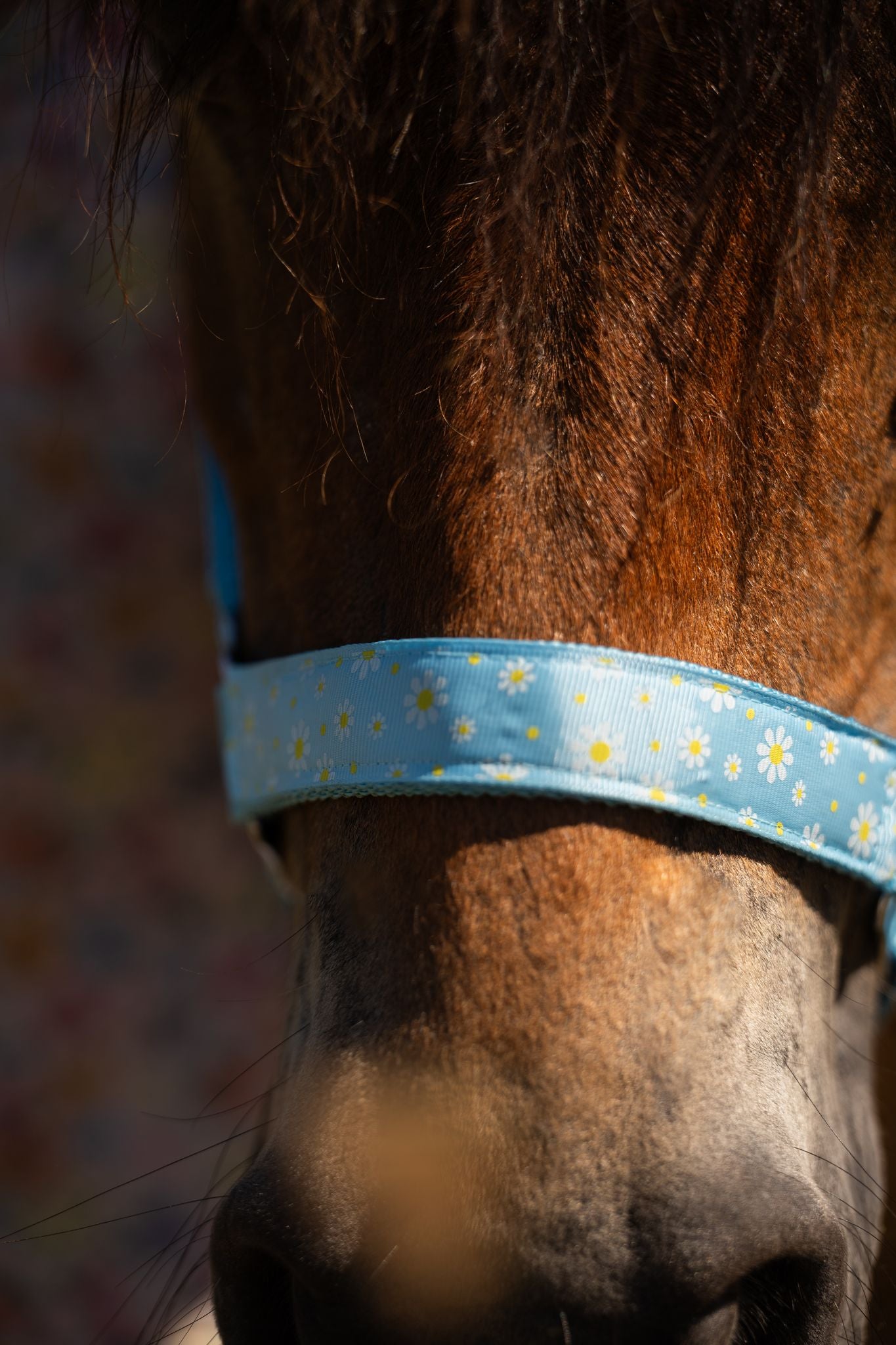 Happy Halsters - Halter azzurro chiaro con motivo floreale