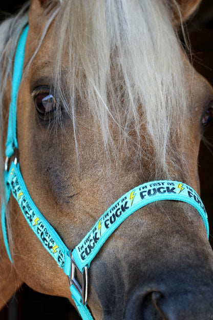 FMH - Nylon turquoise halster ‘Fast as F*CK’