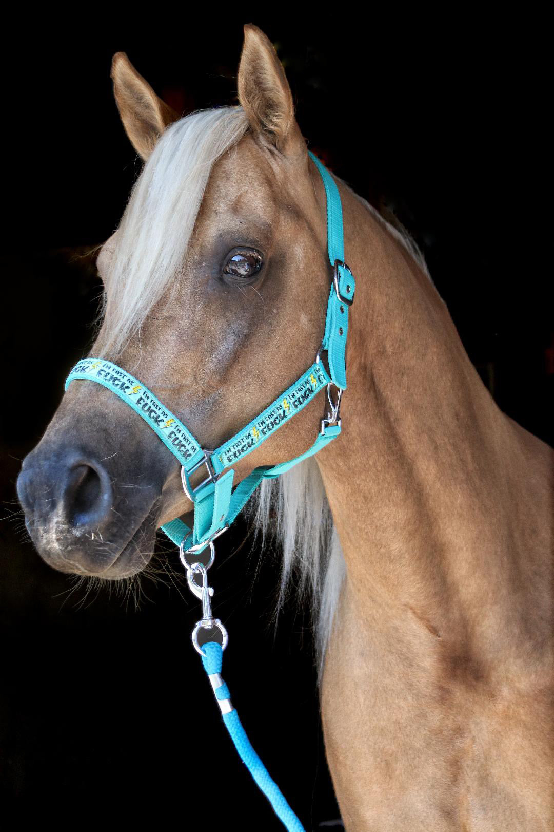 FMH - Nylon turquoise halster ‘Fast as F*CK’