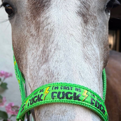 FMH - Nylon groen halster ‘Fast as F*CK’