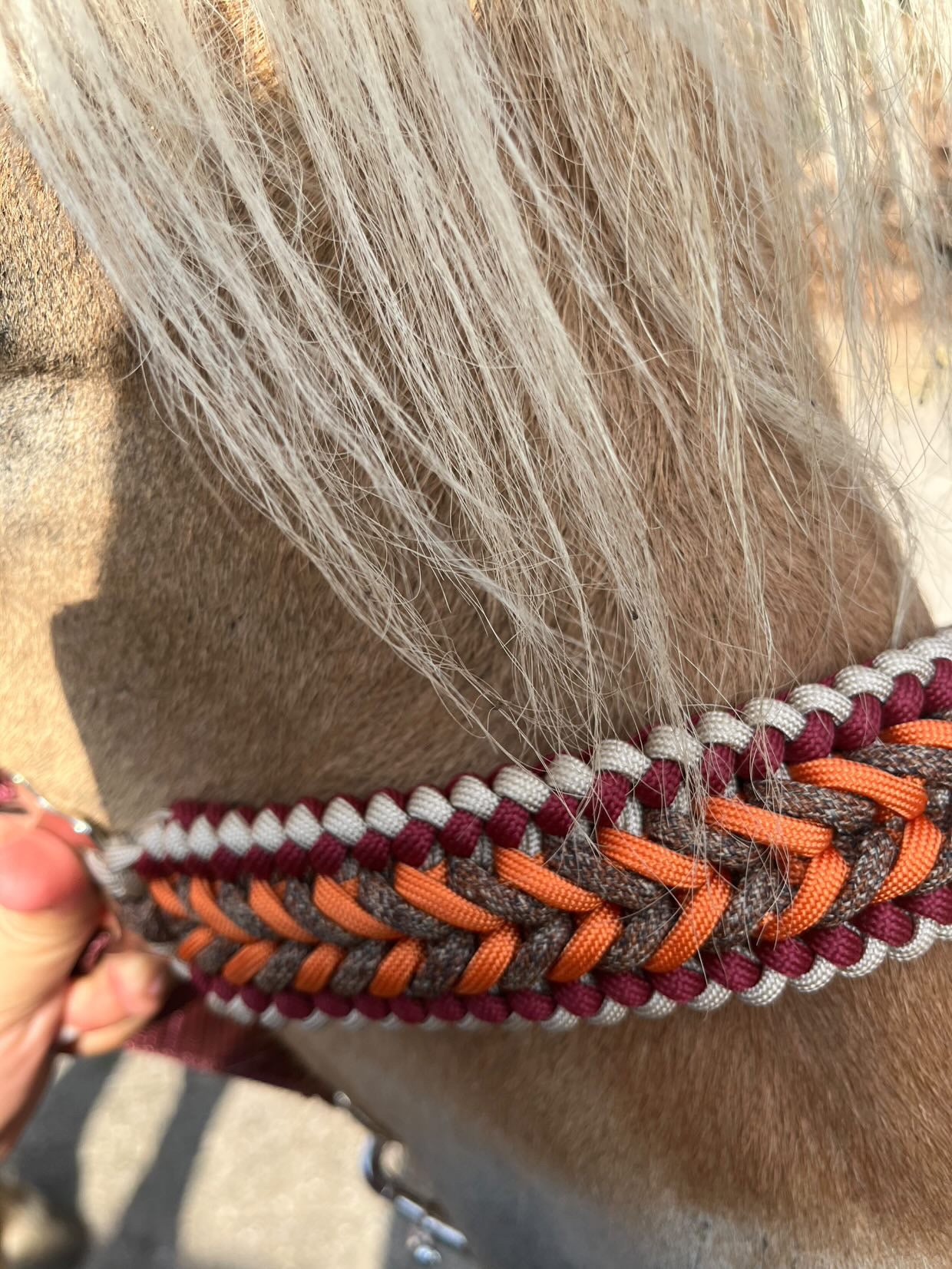 Handgemaakte paardenhalsters - Geknoopt halster ‘Pumpkin Spice’ Bordeaux/bruin/oranje