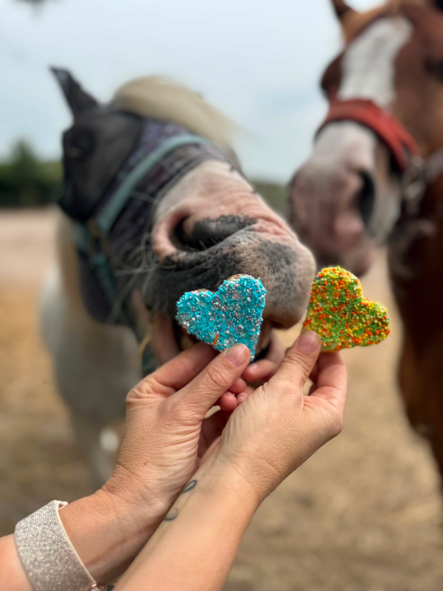 Konska Cukierenka - Pony Bueno Luxe paardenkoekjes Sweethearts 3x (Herbal/Sweet)