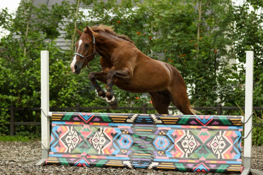 Jump Banners - Hindernissegel Rakete Aztekendruck