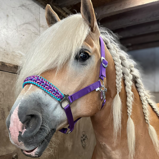 Handgemaakte paardenhalsters - Geknoopt halster ‘Drakkar’ Paars/turquoise