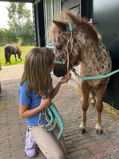 Het Paardenatelier - Tauhalfter Set Halfter + Halfterseil ‘Summer Vibes’ beige/türkis/gelb