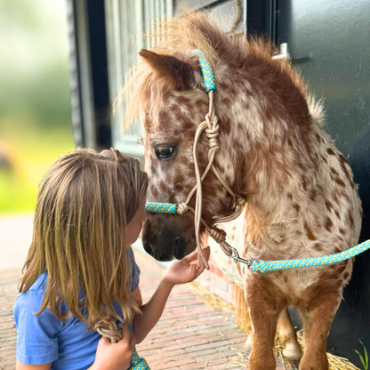 Het Paardenatelier - Tauhalfter Set Halfter + Halfterseil ‘Summer Vibes’ beige/türkis/gelb