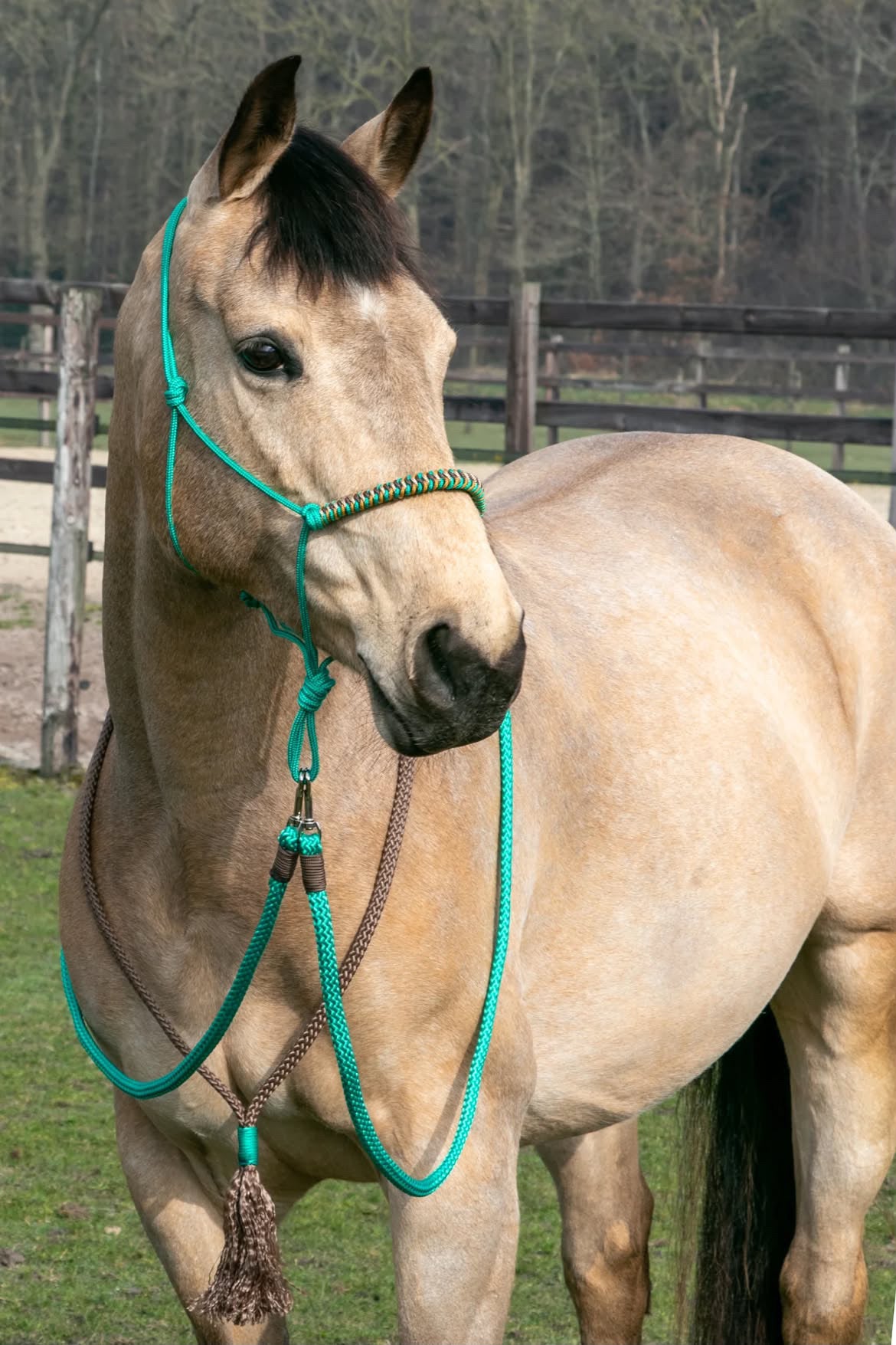 THV04 - Touwhalsterverkoop - Touwhalster set groenblauw/bruin halster, teugels, neckrope COB