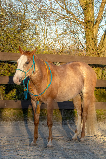 THV05 - Touwhalsterverkoop - Touwhalster set turquoise/camel halster, teugels, neckrope FULL