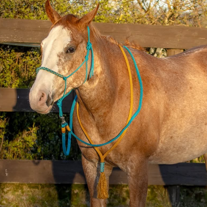 THV05 - Touwhalsterverkoop - Touwhalster set turquoise/camel halster, teugels, neckrope FULL