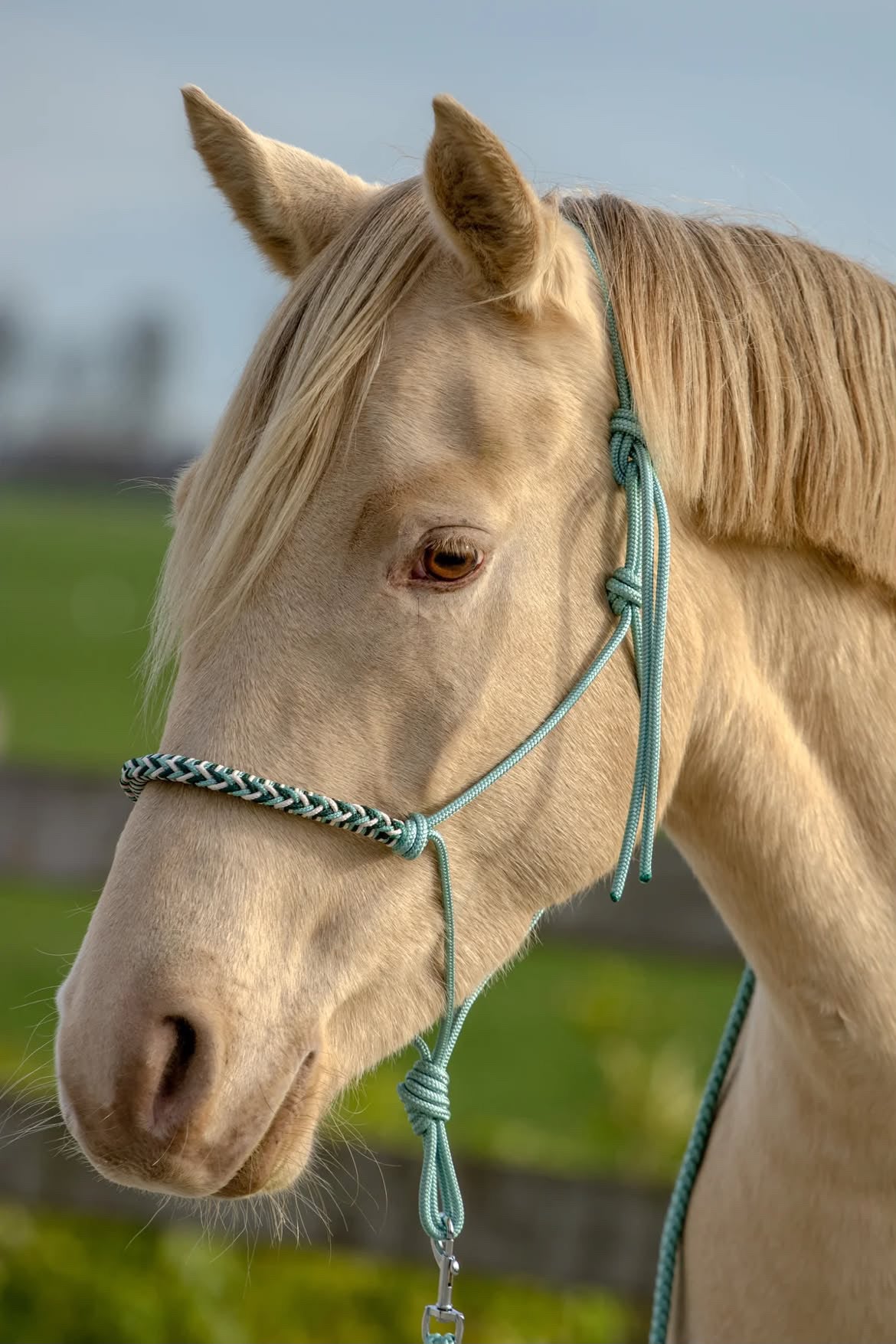 THV10 - Touwhalsterverkoop - Touwhalster set mint/donkergroen/wit halster PONY (++)
