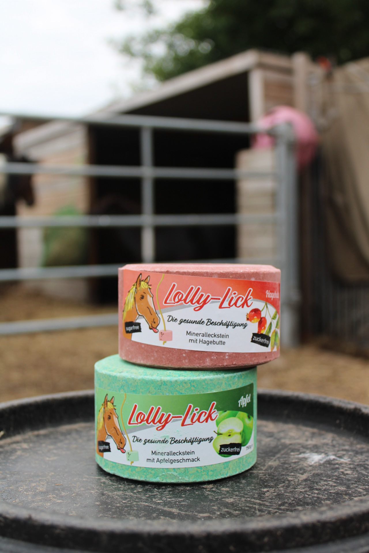Lolly-Lick - Gesunder Leckstein 750G (verschiedene Varianten)