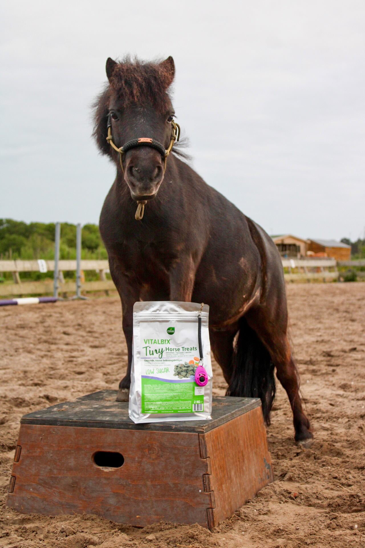 Vitalbix - Tiny Horse Treats 2KG