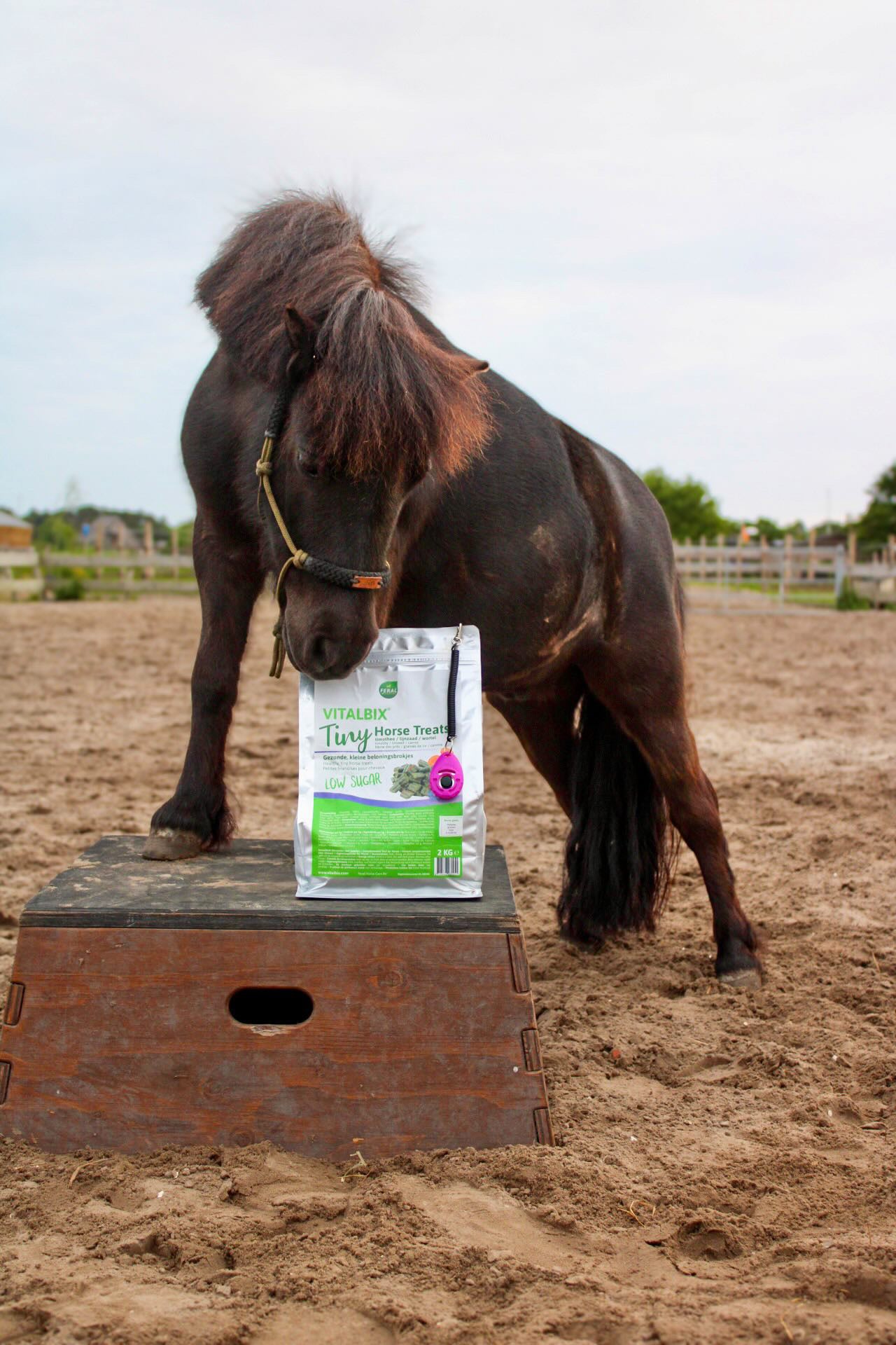 Vitalbix - Tiny Horse Treats 2KG
