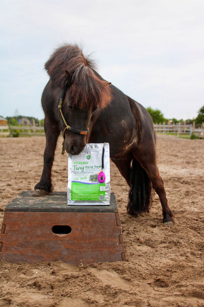 Vitalbix - Tiny Horse Treats 2KG
