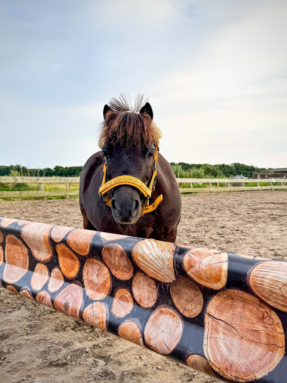 Jumpbanners - Hinderniszeil Bixie Woodie