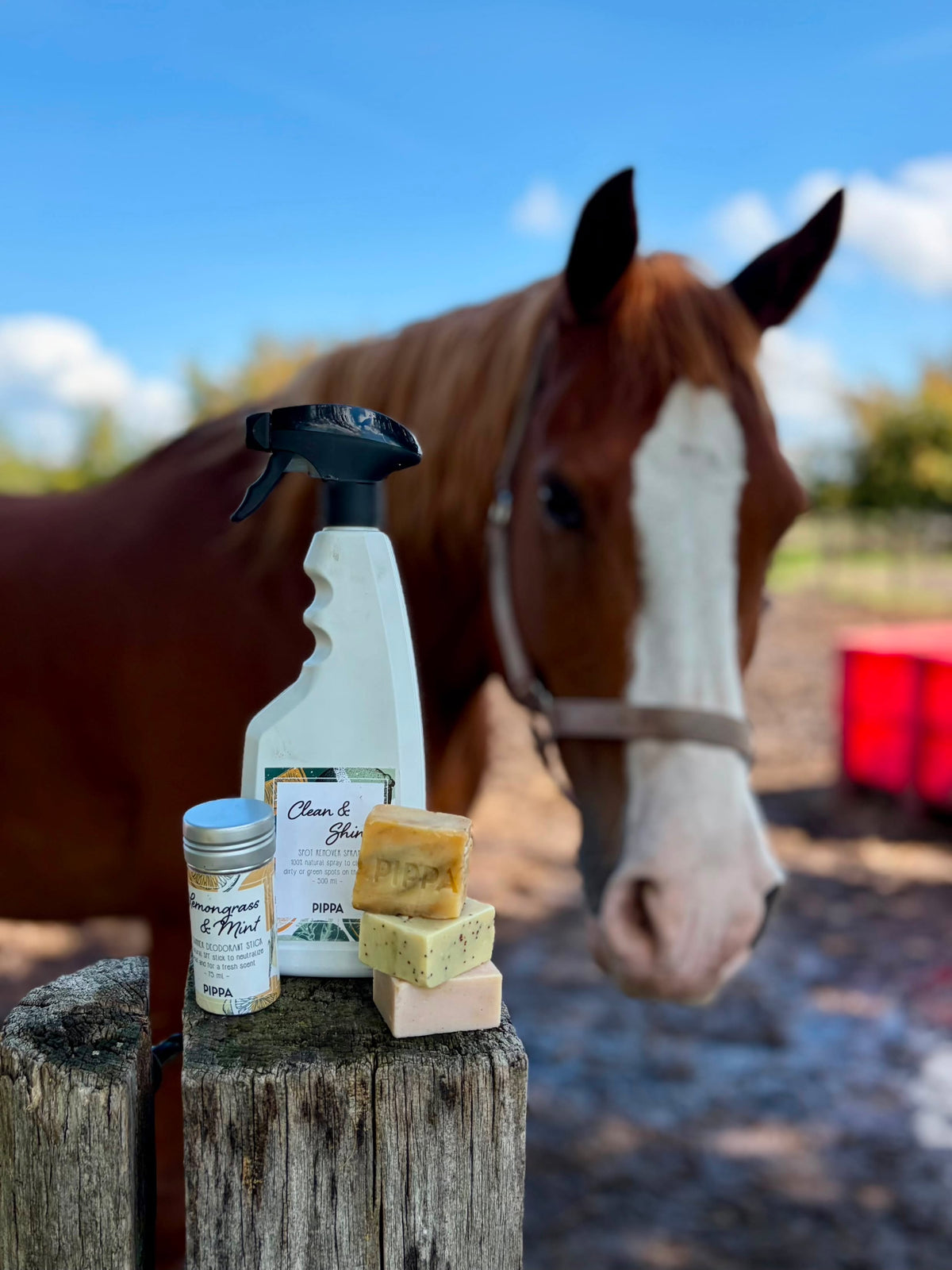 PIPPA - Stick deodorante estate Lemongrass & Mint (con/senza SPF)