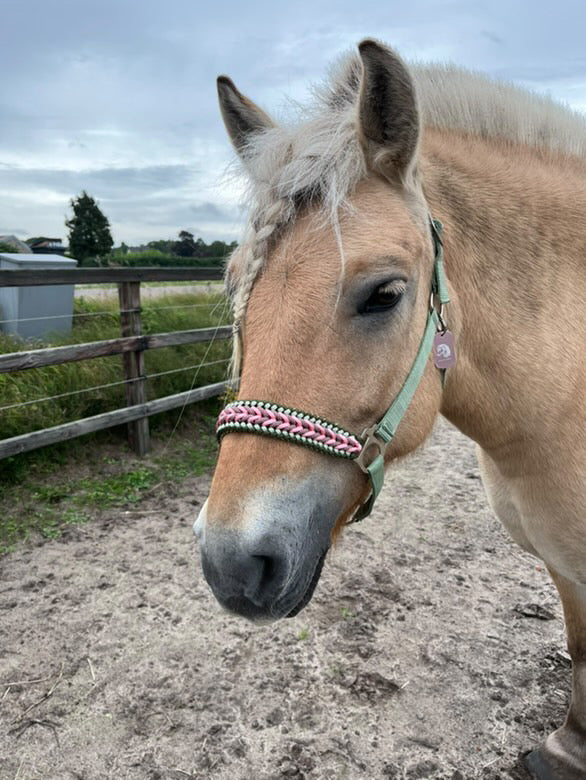 Handgemaakte paardenhalsters - Geknoopt halster ‘Wild Rebel’ Olijf/roze