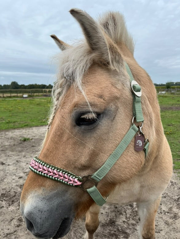 Handgemaakte paardenhalsters - Geknoopt halster ‘Wild Rebel’ Olijf/roze