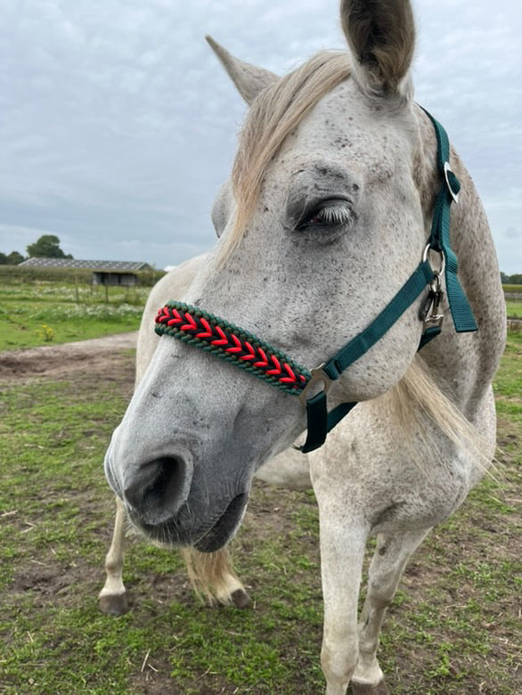 Handgemaakte paardenhalsters - Geknoopt halster ‘Fendt Power’ Groen/rood/zwart