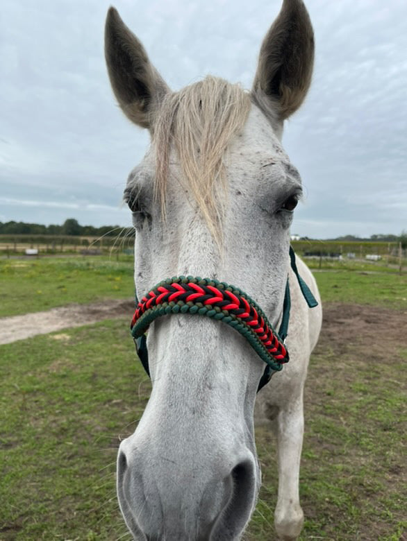 Handgemaakte paardenhalsters - Geknoopt halster ‘Fendt Power’ Groen/rood/zwart