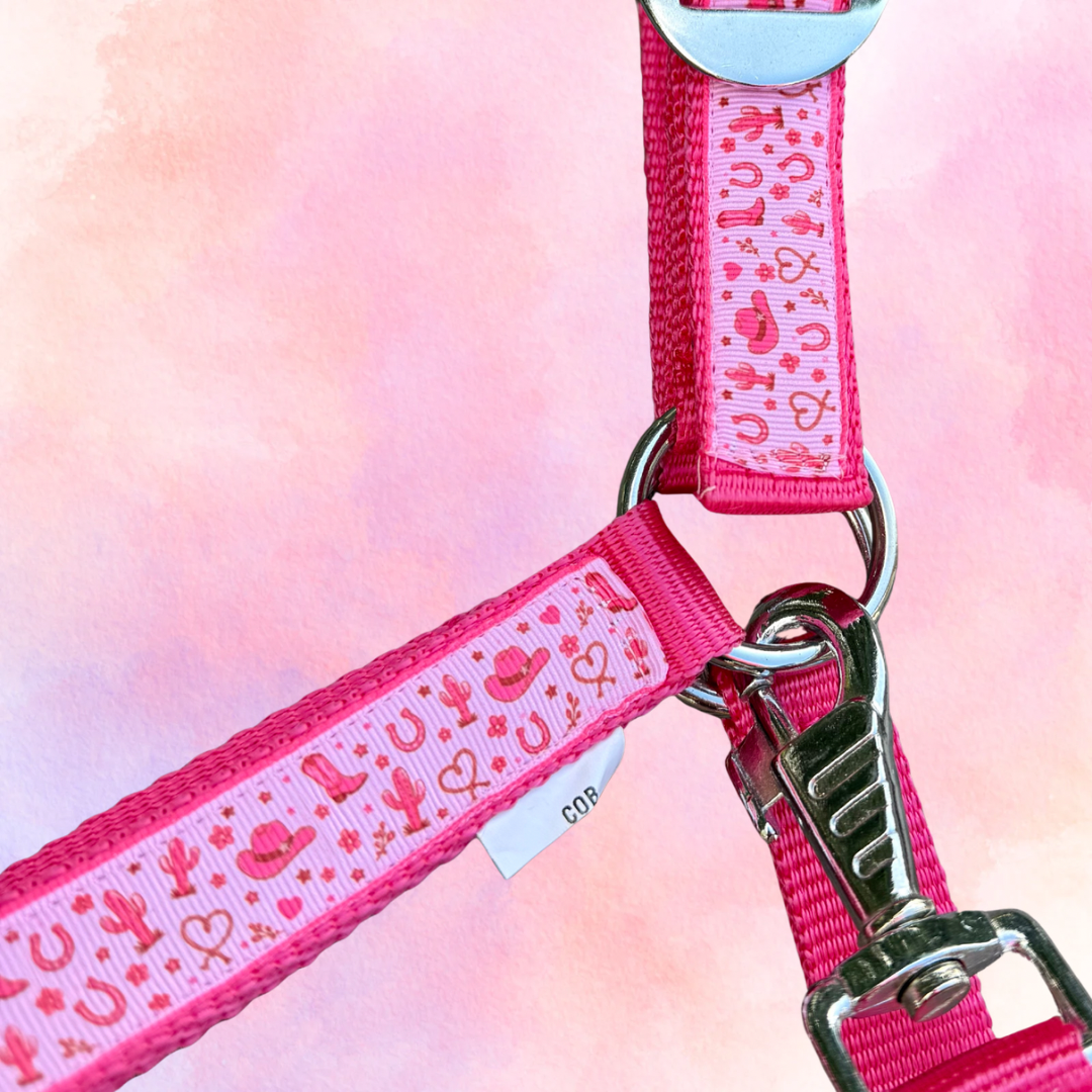 Happy Halster - Pink Cowgirl fucsia rosa capezza