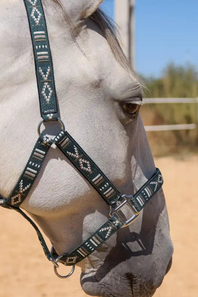 FMH - Geborduurd nylon halster met padding ‘Nomad Spirit Ranger’
