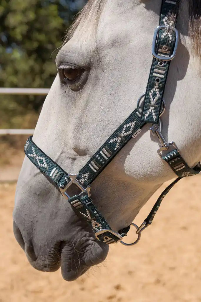 FMH - Geborduurd nylon halster met padding ‘Nomad Spirit Ranger’