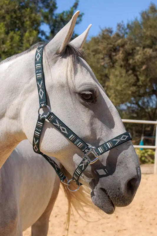 FMH - Embroidered nylon halter with padding ‘Nomad Spirit’ dark green