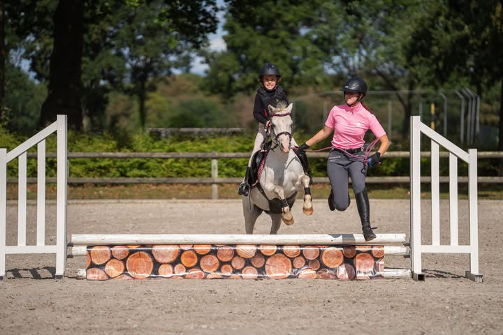 Jumpbanners - Hinderniszeil Bixie Woodie