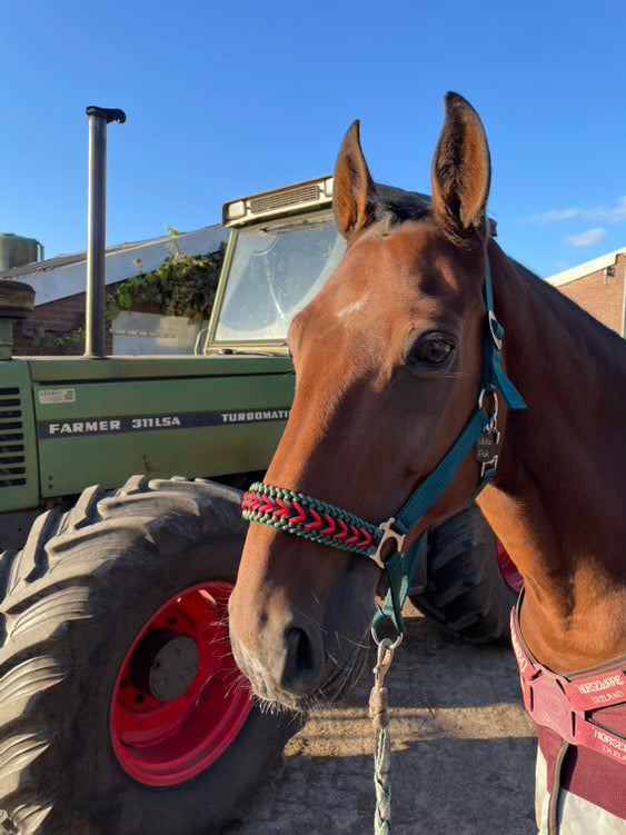 Handmade horse halters - Knotted halter 'Fendt Power' Green/red/black