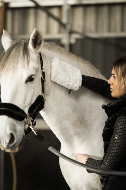 CleanYourHorse - Nano-Silber Putzhandschuh weiß  