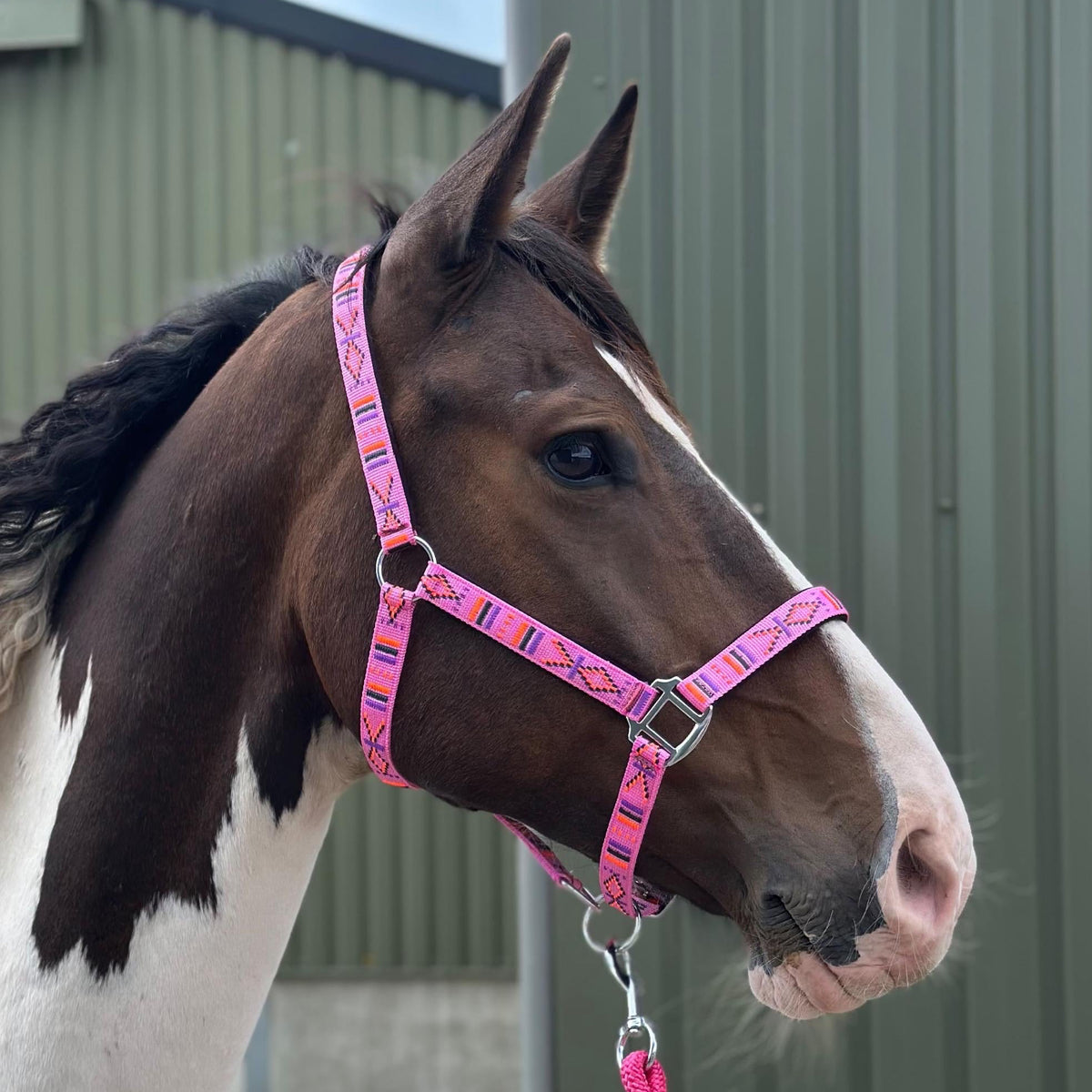 FMH - Embroidered nylon halter with padding ‘Nomad Spirit’ hot pink