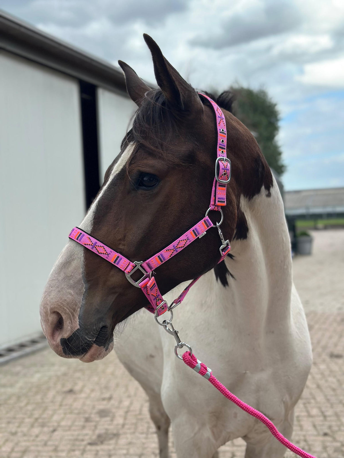 FMH - Embroidered nylon halter with padding ‘Nomad Spirit’ hot pink
