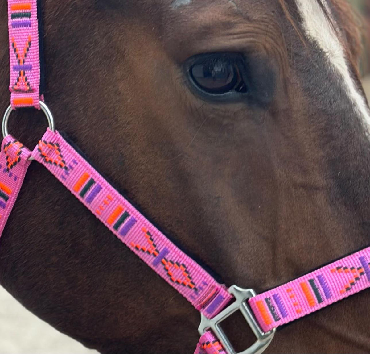 FMH - Embroidered nylon halter with padding ‘Nomad Spirit’ hot pink