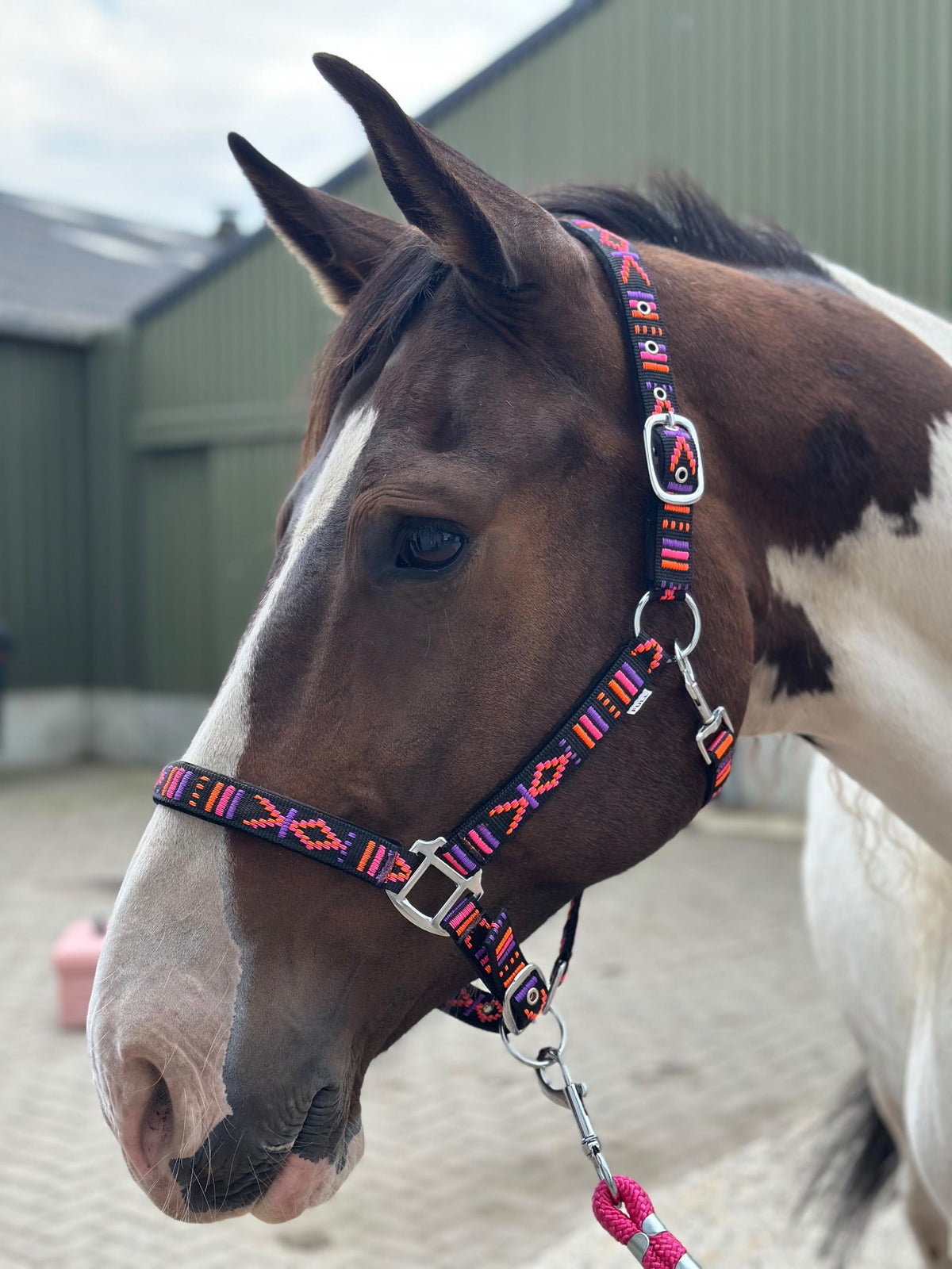 FMH - Bestelltes Nylonhalfter mit Polsterung „Nomad Spirit“ Neon Schwarz