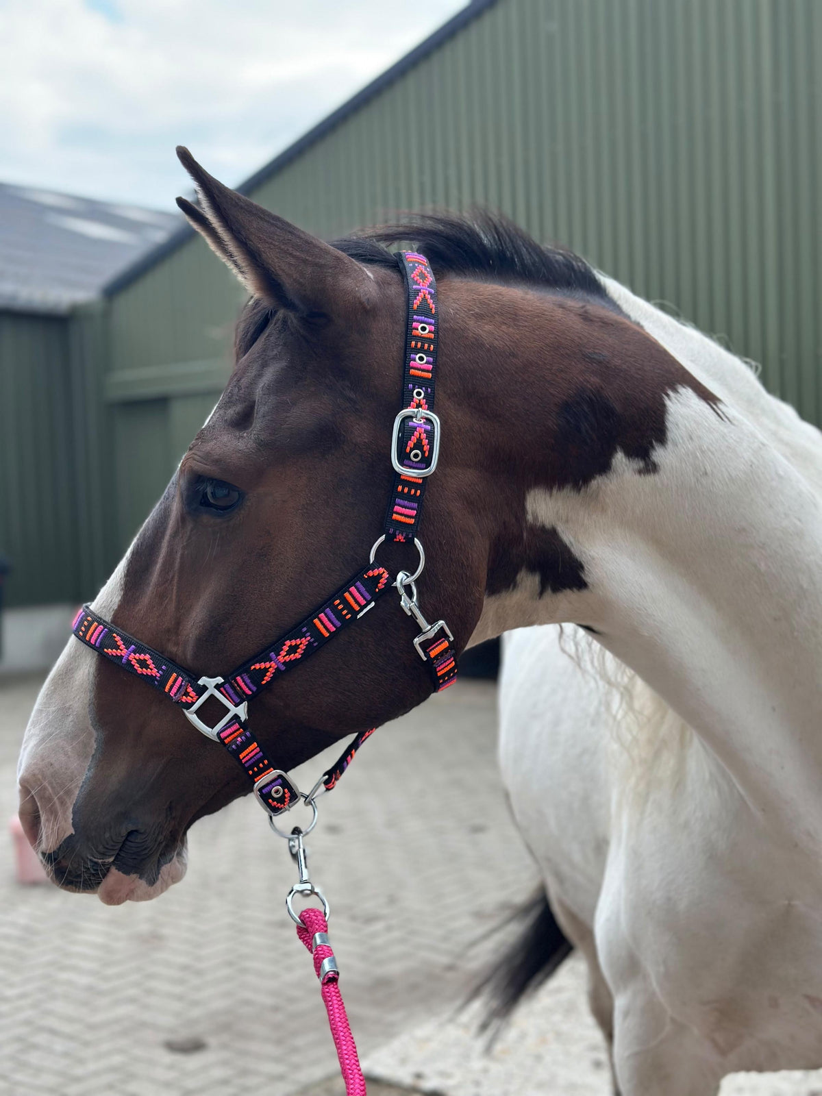 FMH - Bestelltes Nylonhalfter mit Polsterung „Nomad Spirit“ Neon Schwarz