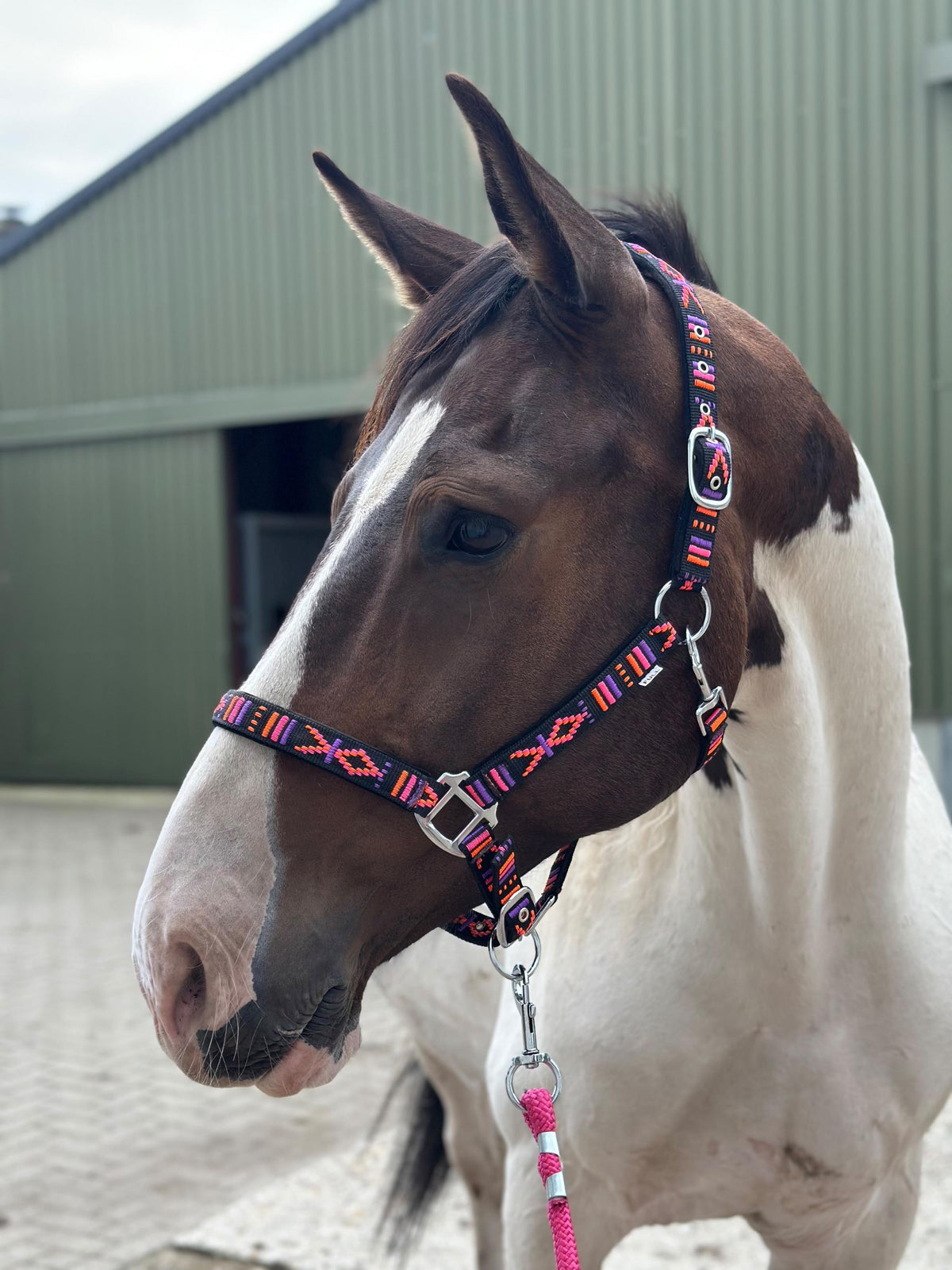FMH - Bestelltes Nylonhalfter mit Polsterung „Nomad Spirit“ Neon Schwarz