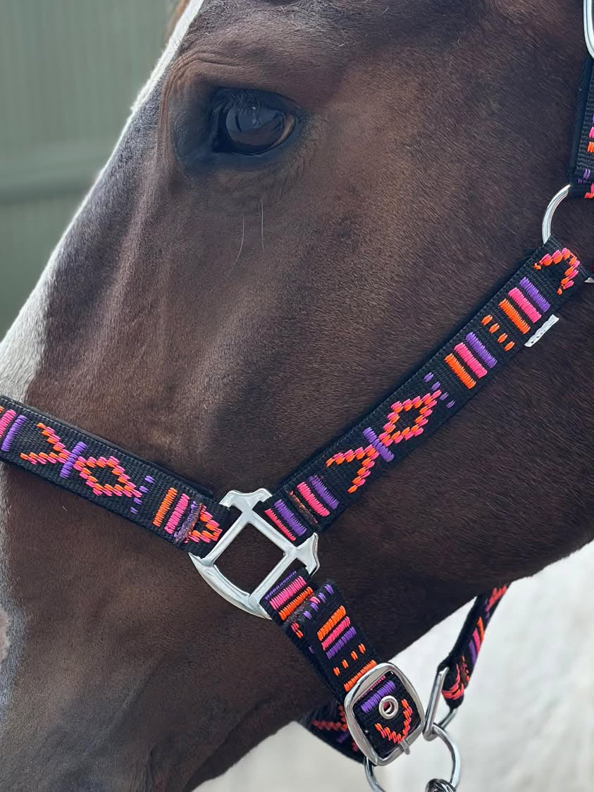 FMH - Bestelltes Nylonhalfter mit Polsterung „Nomad Spirit“ Neon Schwarz