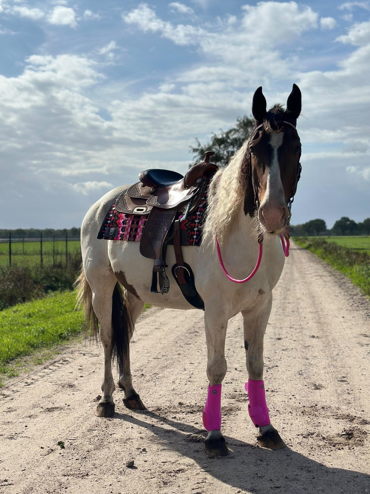 FMH - NeoPro the Solids - Neoprene leg protectors boots for horses (various colors)