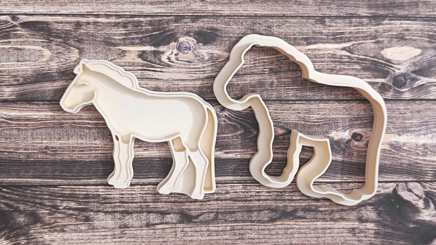 TwoBearsCC - Koekjes uitsteker Przewalski's horse
