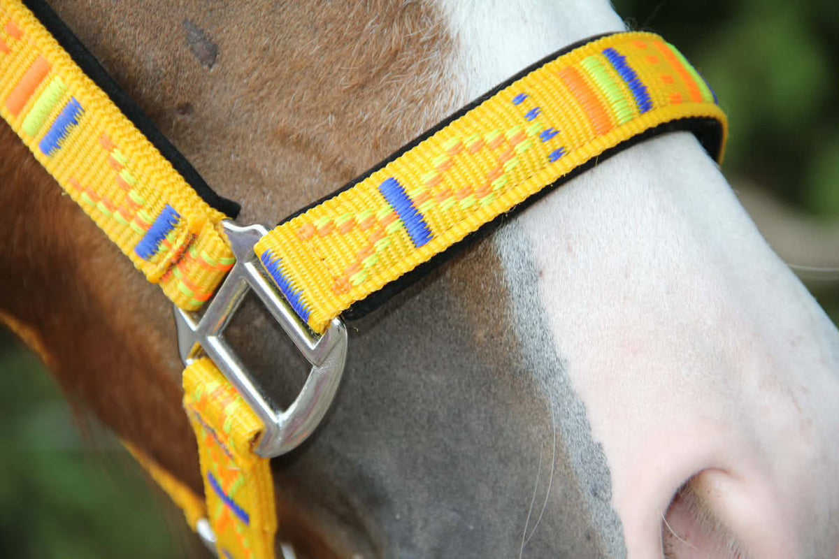 FMH - Geborduurd nylon halster met padding ‘Nomad Spirit Solar’