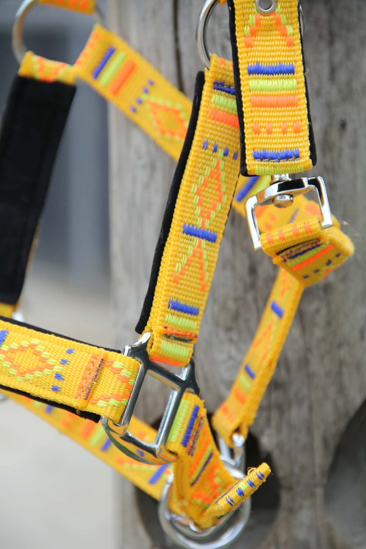 FMH - Geborduurd nylon halster met padding ‘Nomad Spirit Solar’