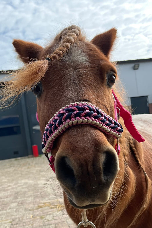 Handgemaakte paardenhalsters - Geknoopt halster ‘Hasta la Vista’ Roze/blauw
