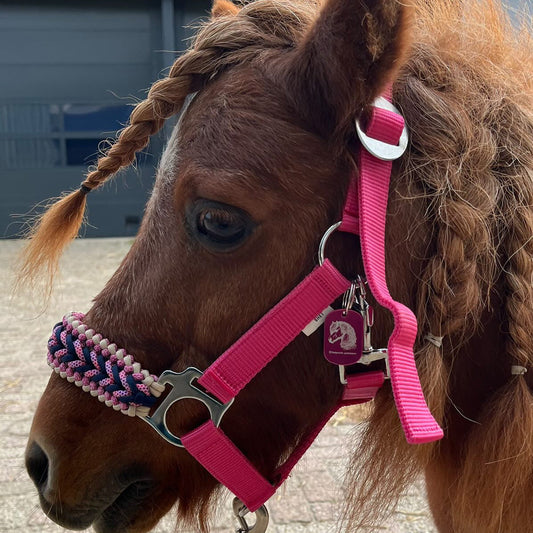 Handgemaakte paardenhalsters - Geknoopt halster ‘Hasta la Vista’ Roze/blauw