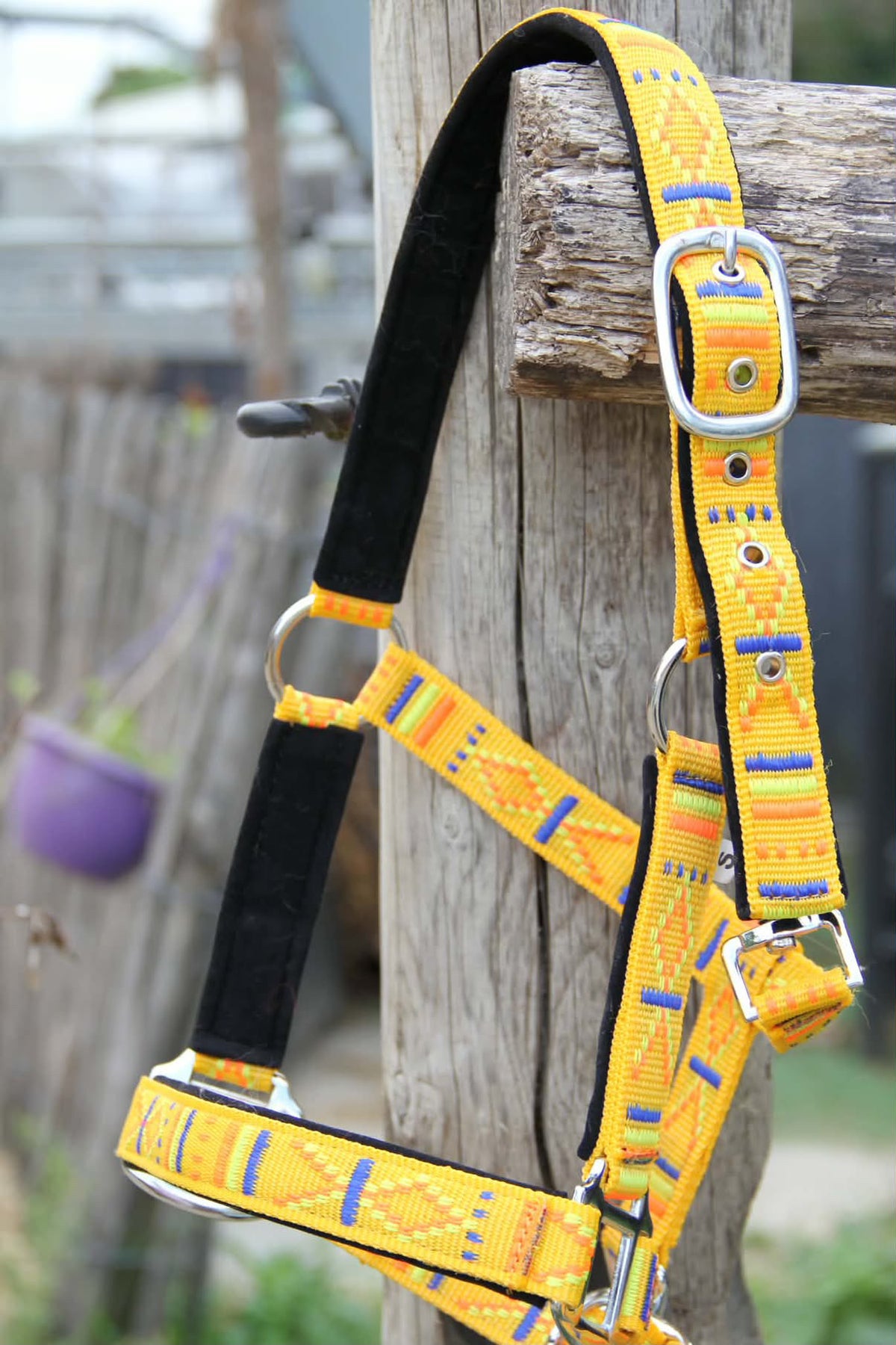 FMH - Geborduurd nylon halster met padding ‘Nomad Spirit Solar’
