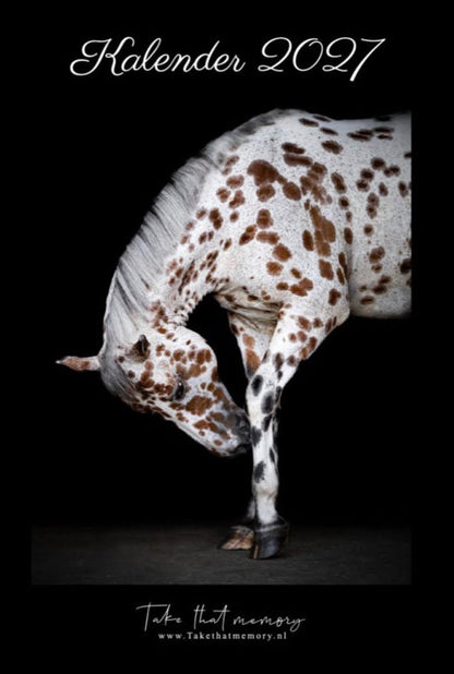 Take That Memory - A4 Jaarkalender 2027 Blackphoto Paarden