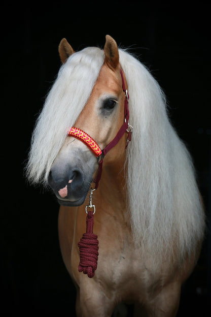 Handgemaakte paardenhalsters - Geknoopt halster ‘Hot Honey’ bordeaux/ geel/ roze