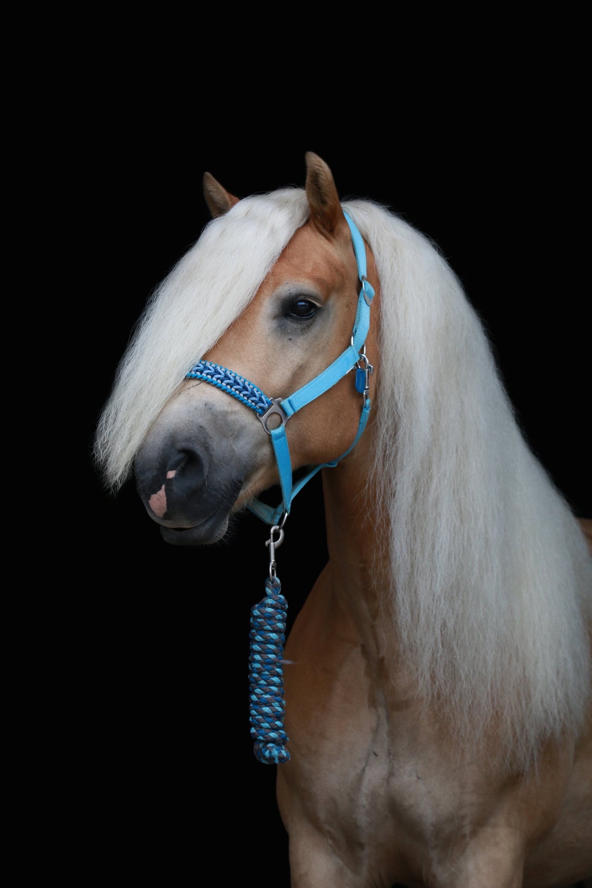 Handgemaakte paardenhalsters - Geknoopt halster ‘Santorini’ lichtblauw/ donkerblauw