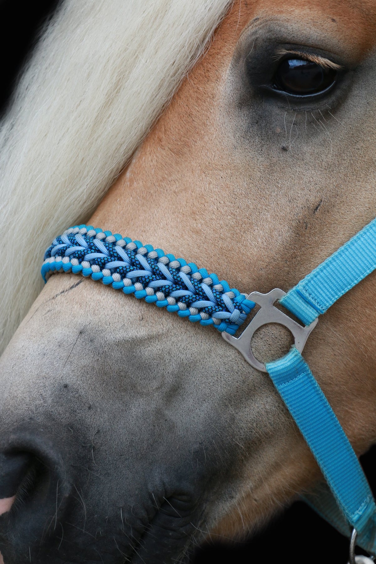 Handgemaakte paardenhalsters - Geknoopt halster ‘Santorini’ lichtblauw/ donkerblauw