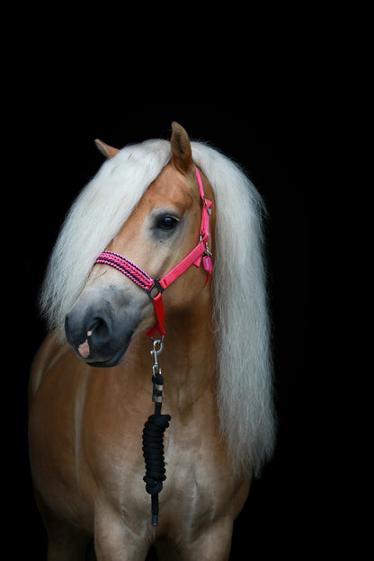 Handgemaakte paardenhalsters - Geknoopt halster ‘Poppin’ Pink’ felroze/ roze/ donkerblauw